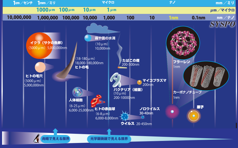 ナノ大きさ比較